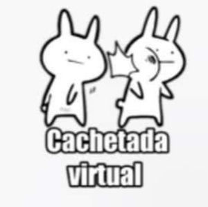 Meet your Posher, Ariel